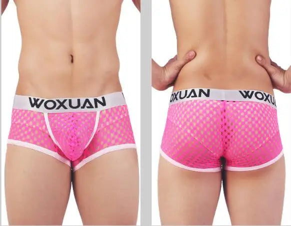 49176896962871|49176896995639|49176897192247|49176897225015