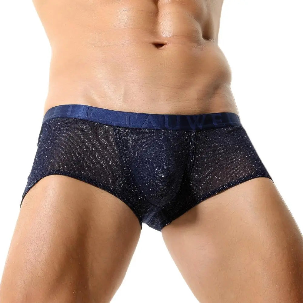 Shimmer Boxers