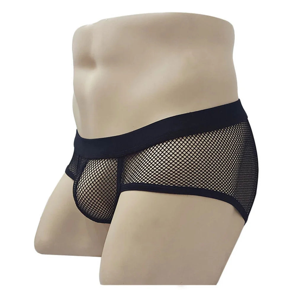 Sheer Fishnet Briefs Sheer Fishnet Briefs
