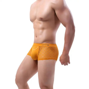 Mesh Pouch Boxers