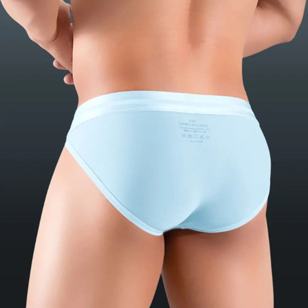 Chill Ice-Silk Briefs