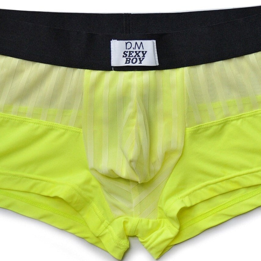 DM Mesh Boxers