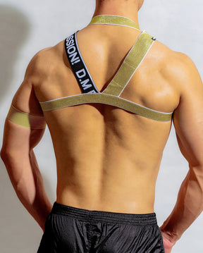 Gold Rave Harness