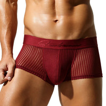 Satin Striped Mesh Boxer Briefs