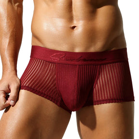 Satin Striped Mesh Boxer Briefs