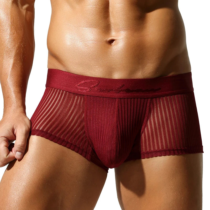 Satin Striped Mesh Boxer Briefs