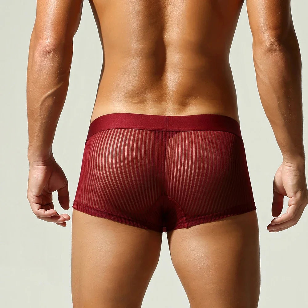 Satin Striped Mesh Boxer Briefs