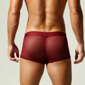Satin Striped Mesh Boxer Briefs