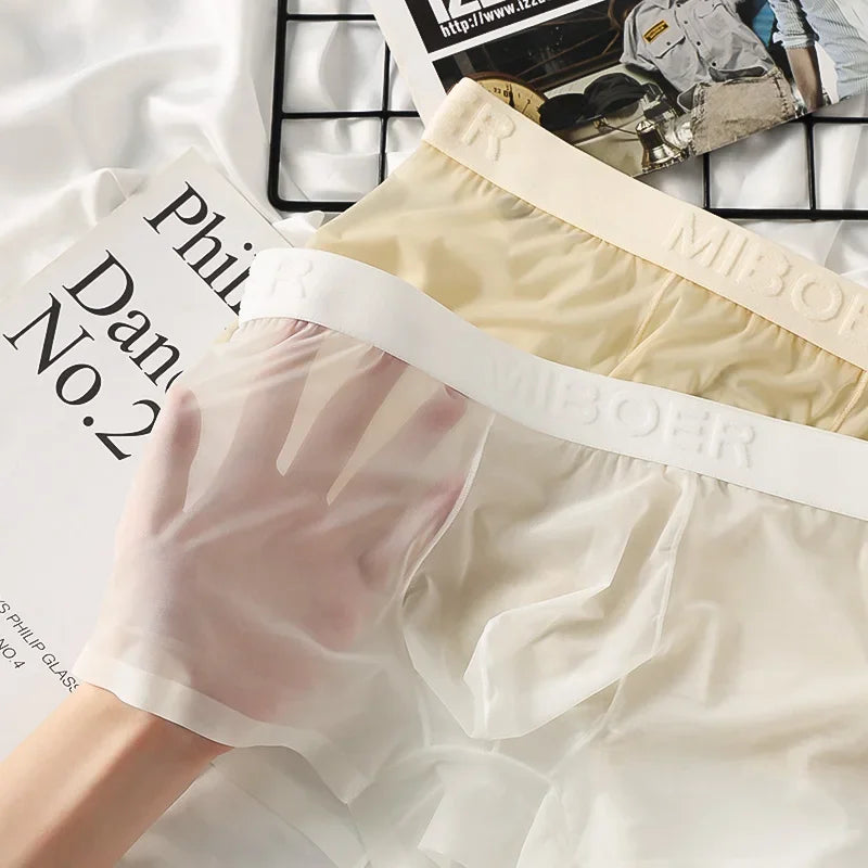 Translucent Boxer Briefs