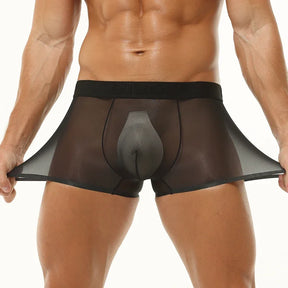 Translucent Boxer Briefs