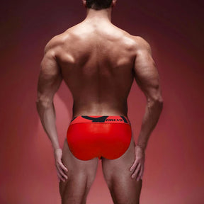 V-Shaped Briefs