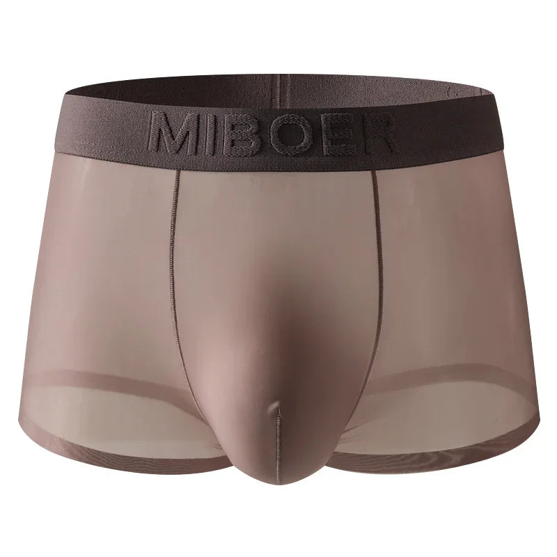 Translucent Boxer Briefs