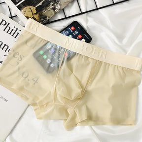 Translucent Boxer Briefs