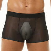 Translucent Boxer Briefs