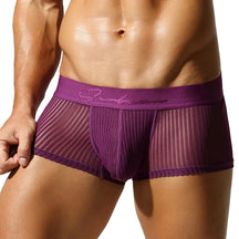 Satin Striped Mesh Boxer Briefs