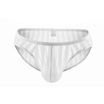 Stripe Erotic Briefs