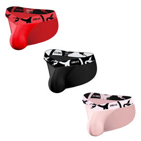 V-Shaped Briefs