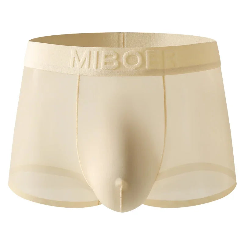 Translucent Boxer Briefs
