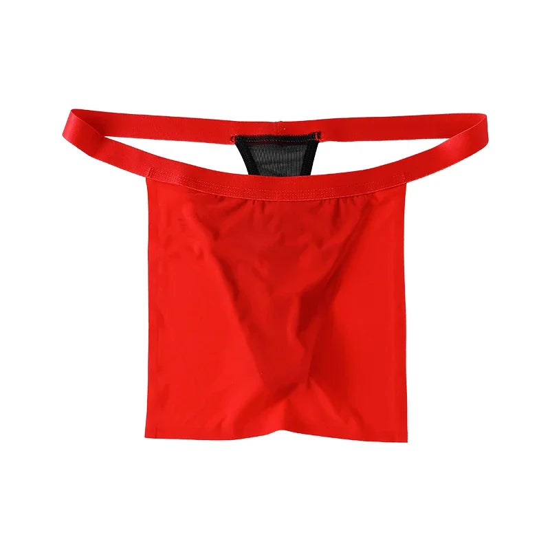 Japanese Modesty Thong