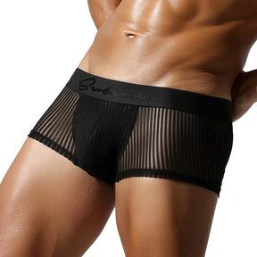 Satin Striped Mesh Boxer Briefs
