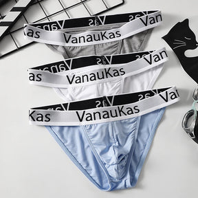 VanauKas Briefs