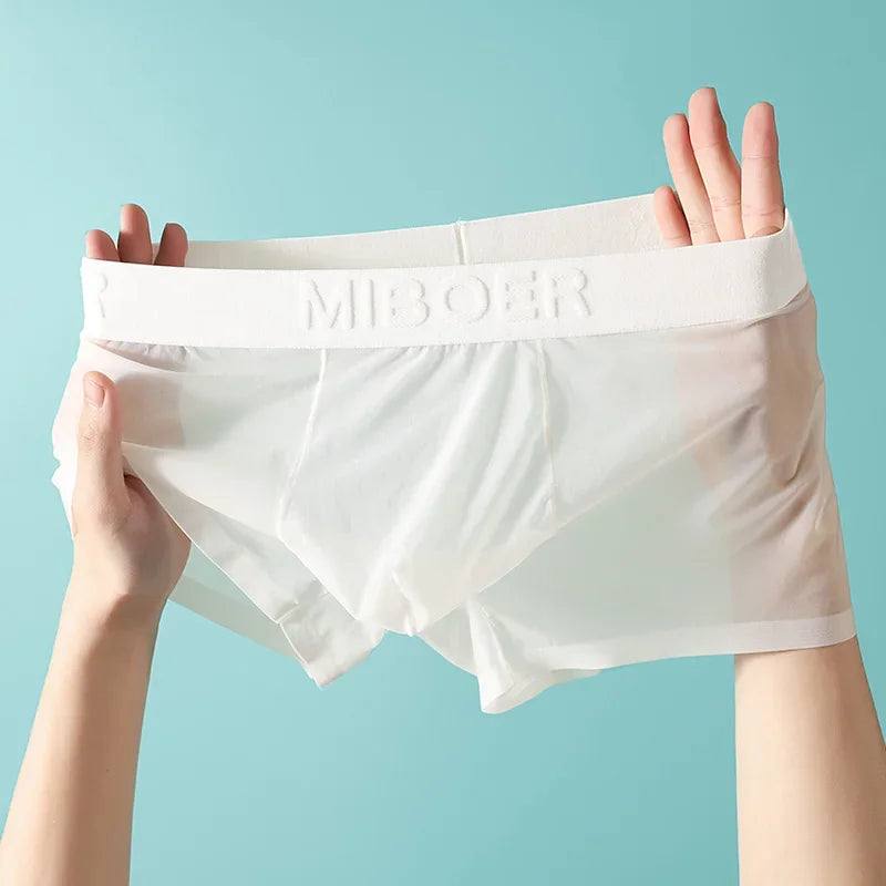 Translucent Boxer Briefs