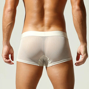 Satin Striped Mesh Boxer Briefs