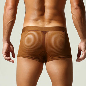 Satin Striped Mesh Boxer Briefs