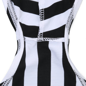 Stripe Bikini Briefs