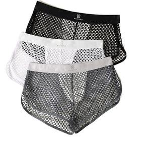 Sexy Fishnet Shorts