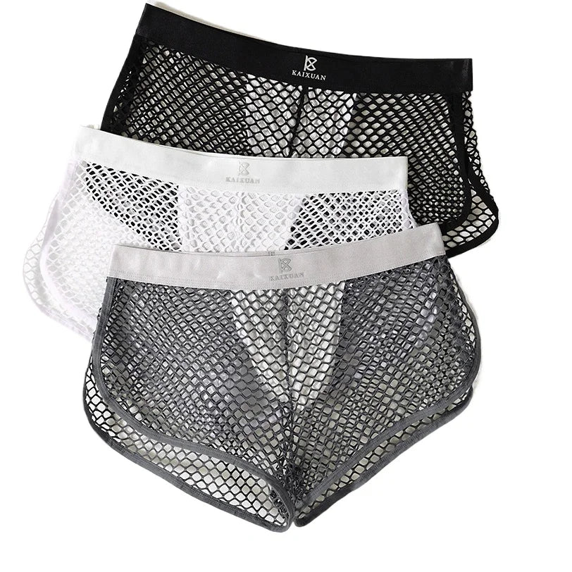 Sexy Fishnet Shorts