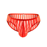 Stripe Erotic Briefs