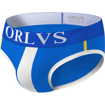 ORLVS Bulge Brief