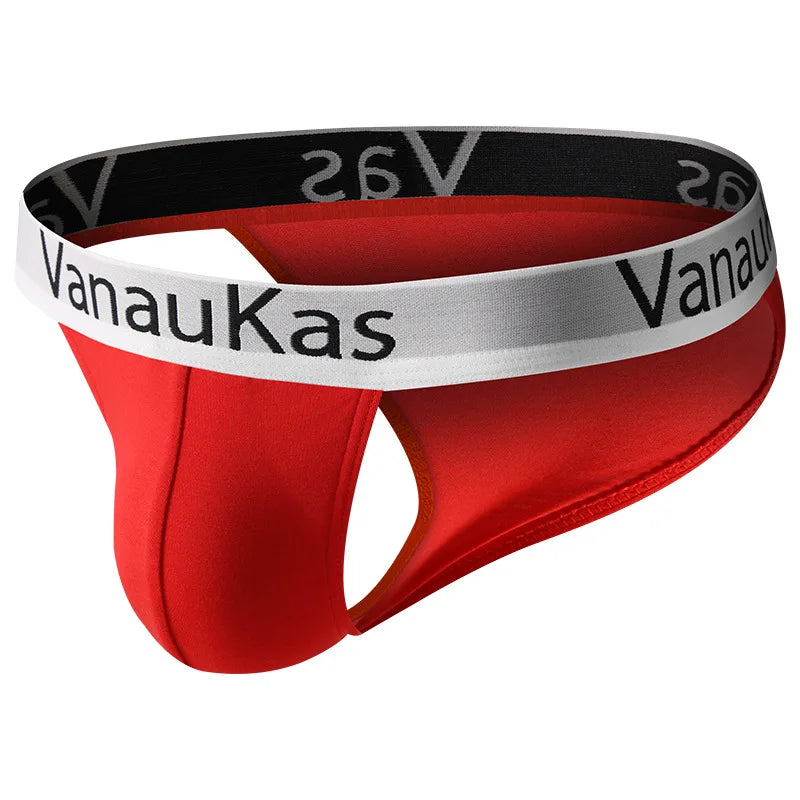 VanauKas Briefs