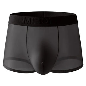 Translucent Boxer Briefs