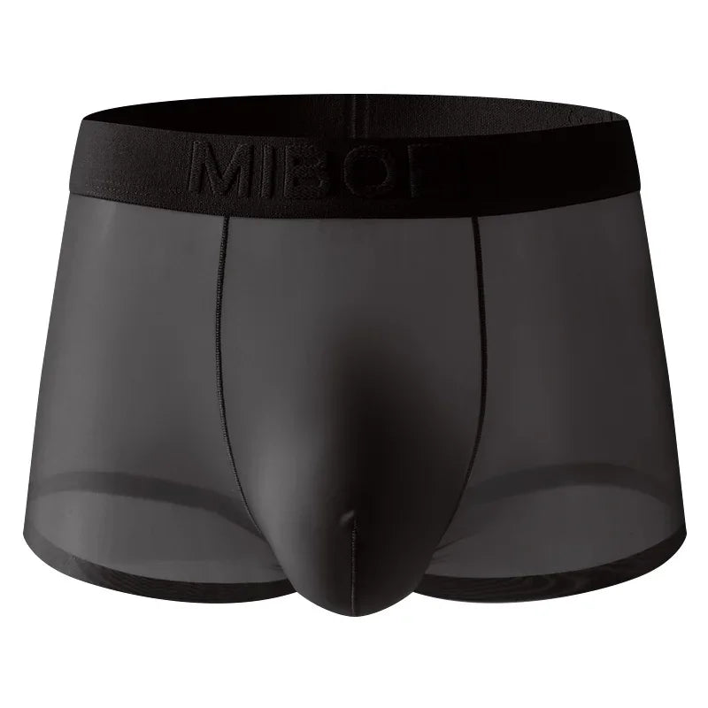Translucent Boxer Briefs