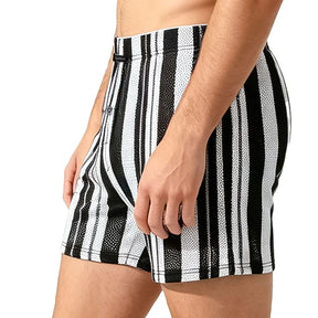 Stripe Woven Shorts