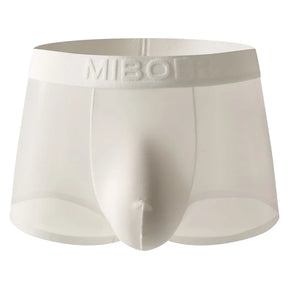Translucent Boxer Briefs