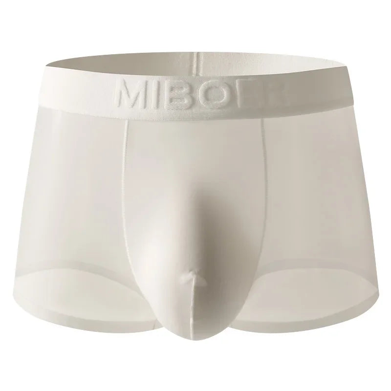 Translucent Boxer Briefs