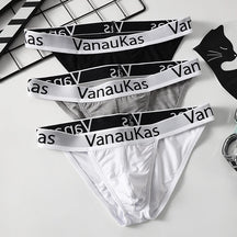 VanauKas Briefs