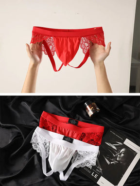 Pure Desire Lace Briefs