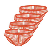 Fishnet Briefs 4-Pack