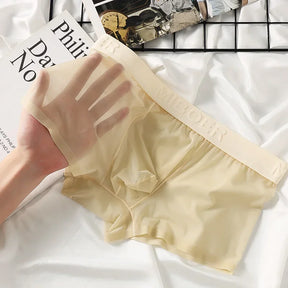 Translucent Boxer Briefs