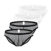 Fishnet Briefs 4-Pack