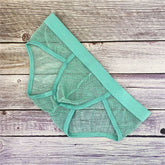 Sheer Fishnet Briefs