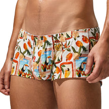 Frat Boxer Summer Edition