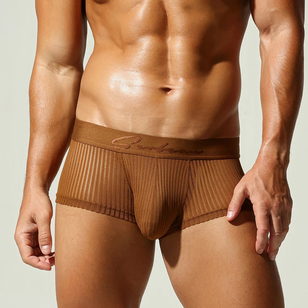 Satin Striped Mesh Boxer Briefs