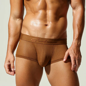 Satin Striped Mesh Boxer Briefs