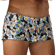 Frat Boxer Summer Edition