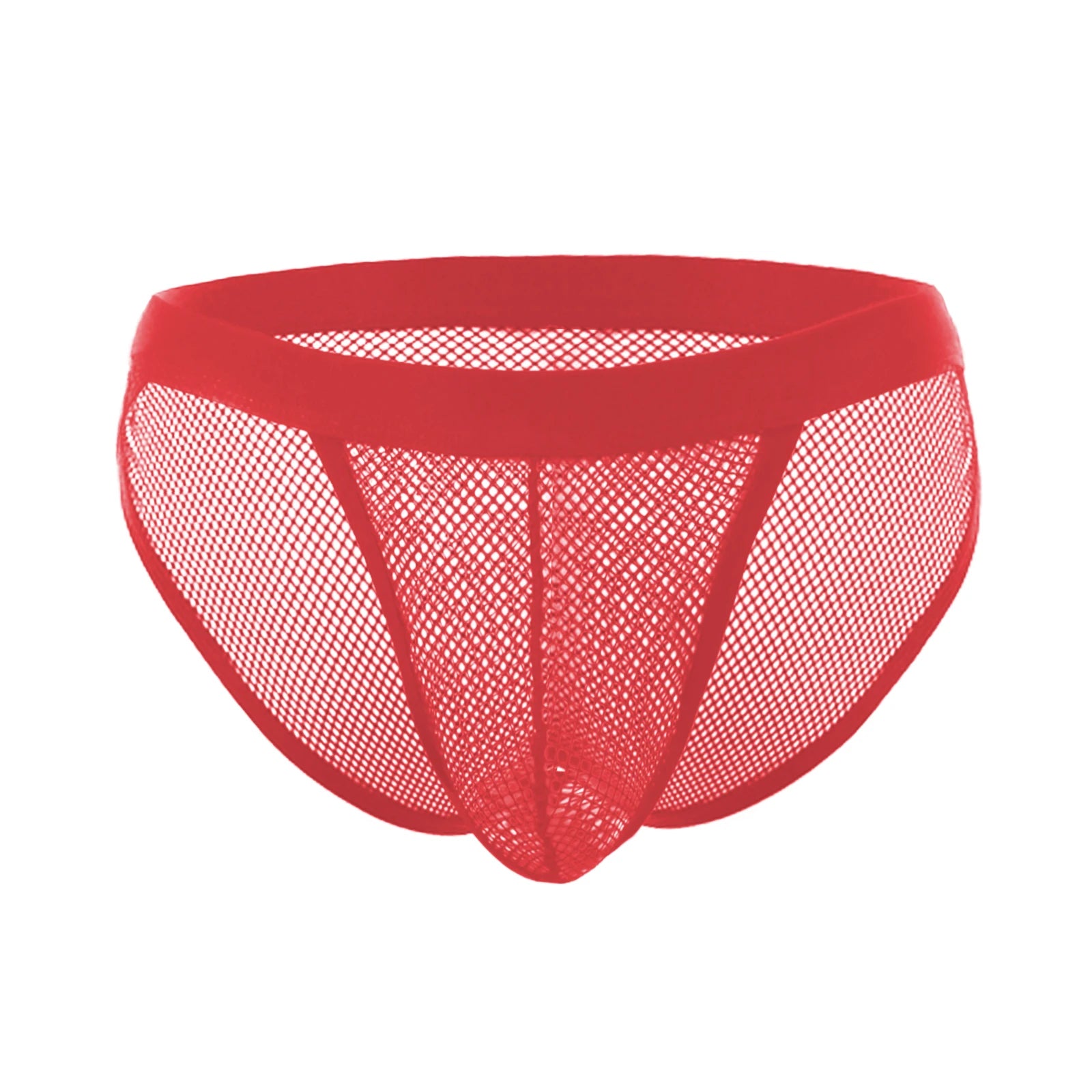 Fishnet Bikini Briefs